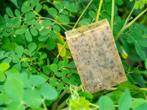 Savon avocat moringa