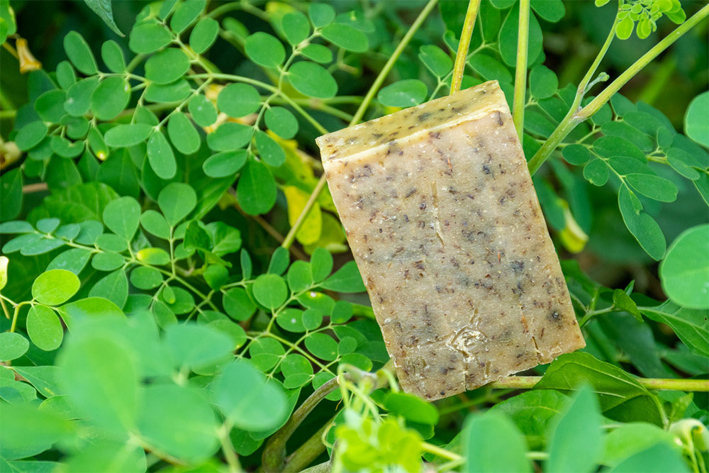 Savon avocat moringa