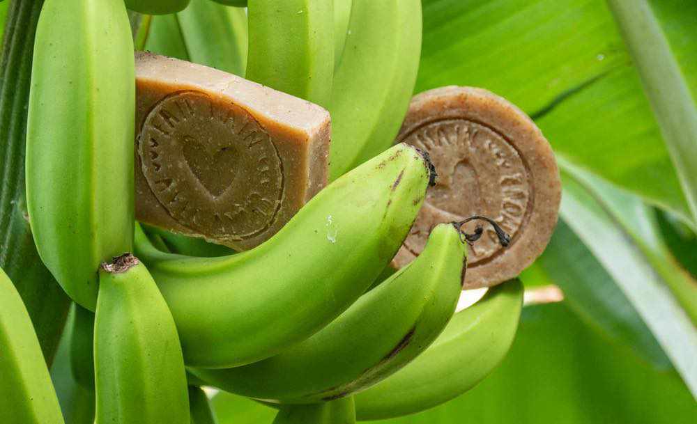 Savons artisanaux Martinique Banane