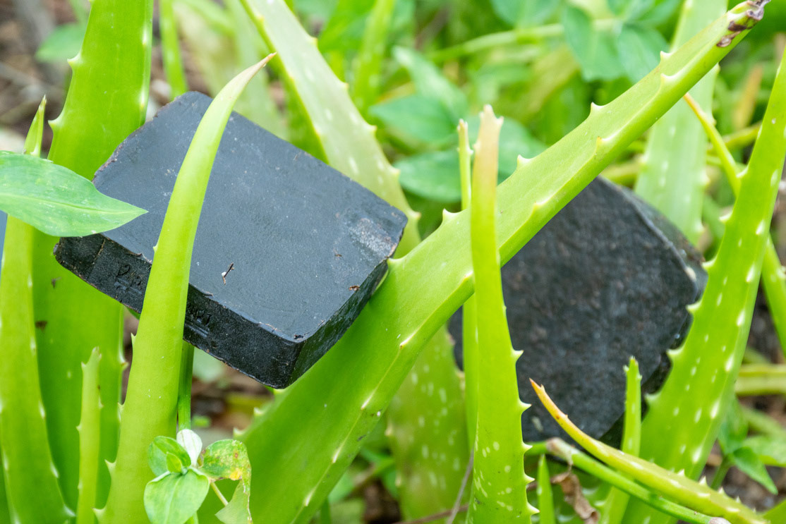 Savon aloe goudron de pin
