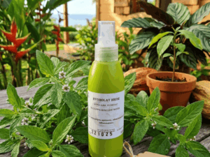 Hydrolat de brisé